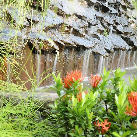 Ayurveda Centrum Lawrence Hill Paradise Hikkaduwa Ngoại thất bức ảnh