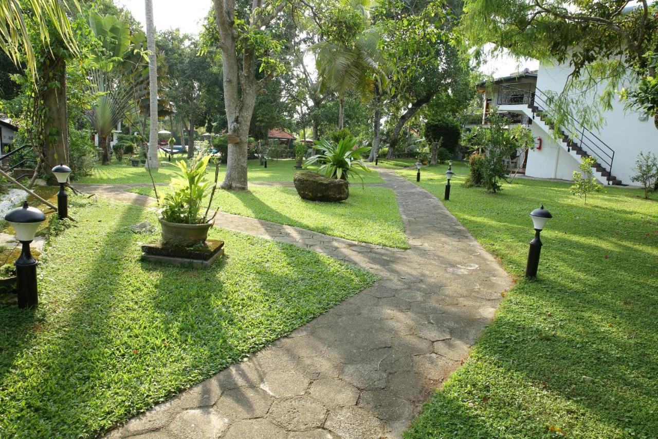 Ayurveda Centrum Lawrence Hill Paradise Hikkaduwa Ngoại thất bức ảnh