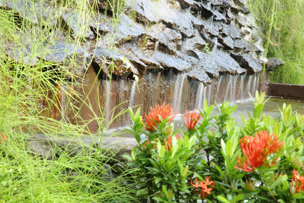 Ayurveda Centrum Lawrence Hill Paradise Hikkaduwa Ngoại thất bức ảnh