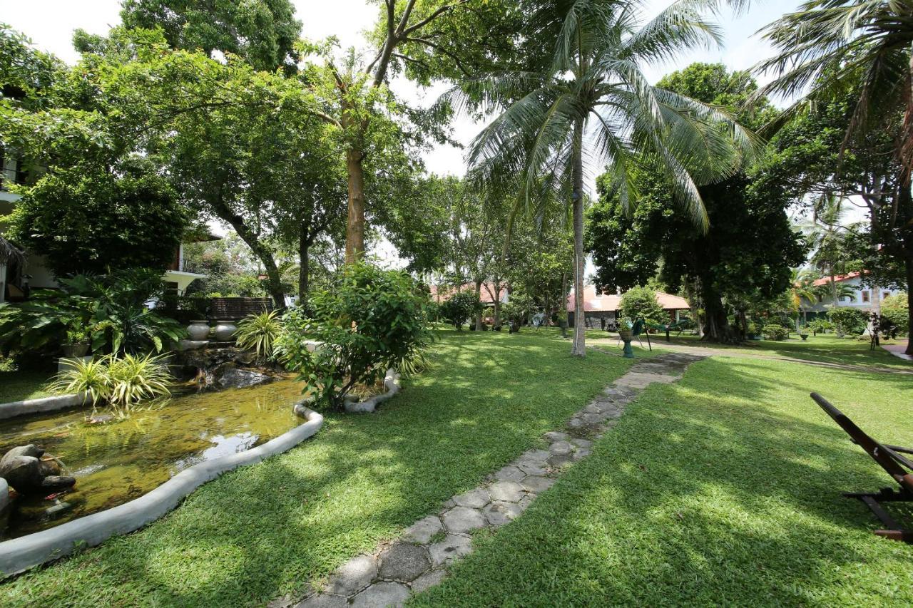 Ayurveda Centrum Lawrence Hill Paradise Hikkaduwa Ngoại thất bức ảnh