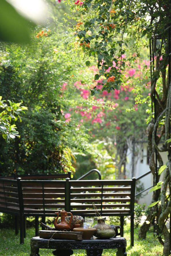Ayurveda Centrum Lawrence Hill Paradise Hikkaduwa Ngoại thất bức ảnh